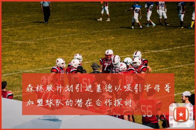 森林狼计划引进基德以吸引字母哥加盟球队的潜在合作探讨