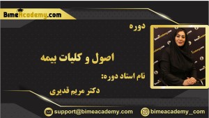 اصول و کلیات بیمه